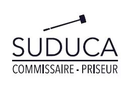 TABLEAUX | OBJETS D'ART | DESIGN XX°| BIJOUX INSTRUMENTS DE MUSIQUE