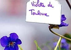 Dossier Agro : les produits stars de Toulouse