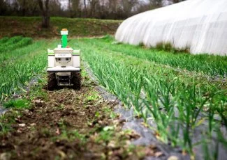 A Toulouse, Naïo Technologies recherche des candidats malins !