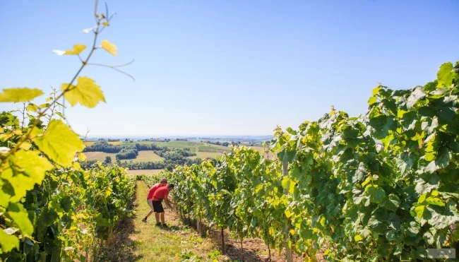 Actus Occitanie - %##23@