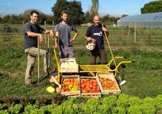 Près de Toulouse, Macadam Garden expérimente l'économie circulaire entre TPE