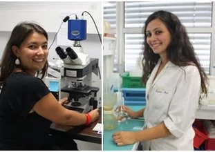 Deux chercheuses toulousaines primées pour « Les femmes et la science »
