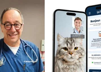 Liv'Vet. Une appli occitane pour faire une visio avec son véto 