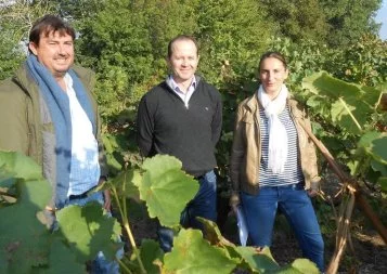 Côtes du Tarn. une sortie du Vin nouveau 2015 entre relooking et prise de conscience