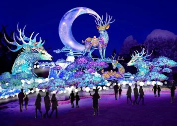 Le Festival des Lanternes va illuminer Blagnac !