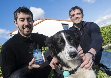 Canhegat invente un collier connecté dédié aux chats et aux chiens