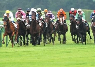La Cépière cravache pour rester dans le tiercé gagnant