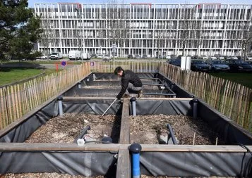 Eaux usés : Des vers pour mieux recycler la terre ?