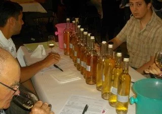 Concours des vins de Gaillac : Un festival pour AOC et vins de pays