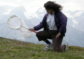 Camille Parmesan, une écologue internationale à la tête de la station CNRS de Moulis